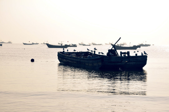大海