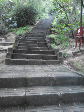 深圳南山台阶 林径小路