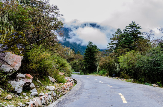 山区公路 林区公路 景区公路