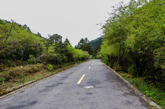 山区公路 山区交通