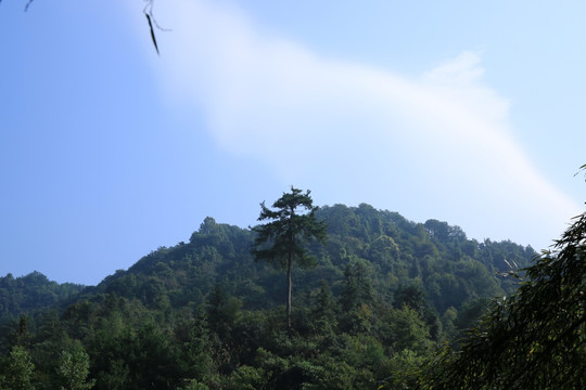 蓝天白云大山树木