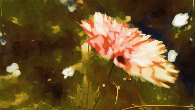 装饰画 花朵