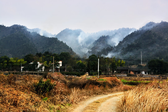 森林火灾山火