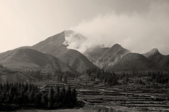 森林火灾山火