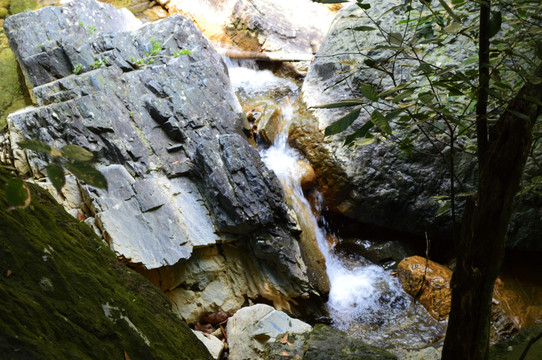 黄山翡翠谷 山涧激流