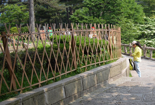 黄山景区木栅栏