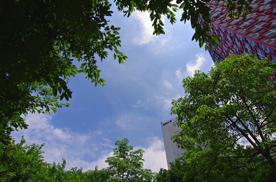 城市 天空 城市绿化