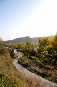 三十三洞天景区 马蹄寺景区