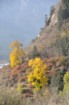 三十三洞天景区 马蹄寺景区（非高清）