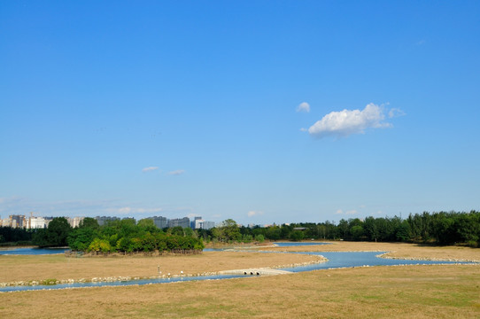 草地河流
