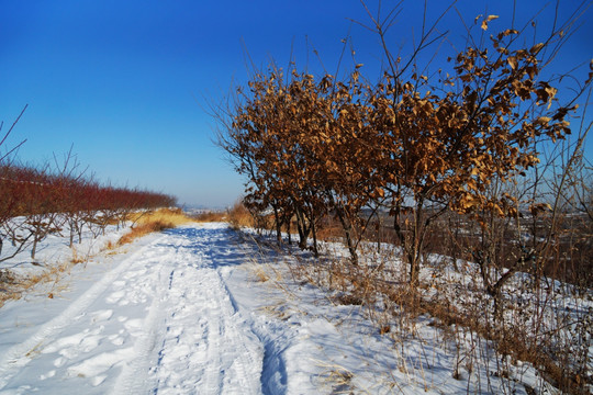 山乡雪野