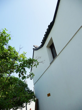 苏州园林