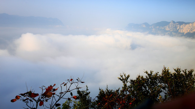 云海 风光 高山丘壑 峡谷