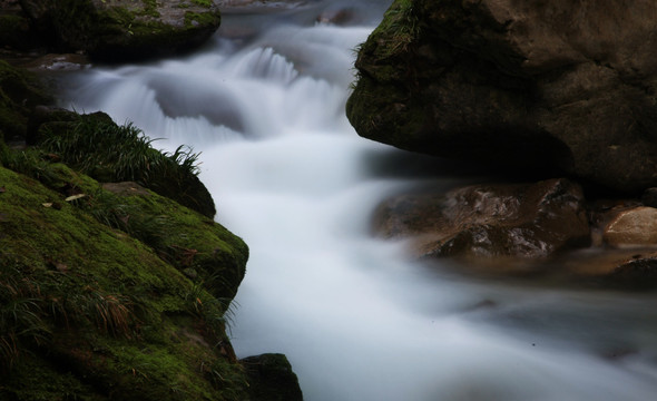 流水 溪流 小河 河流 苔藓