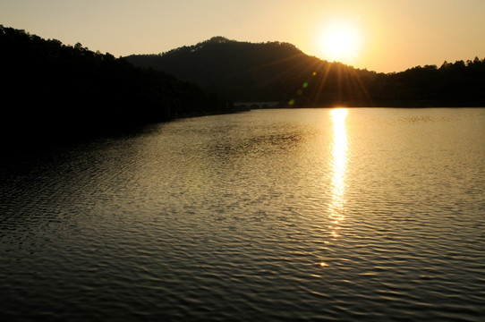 大夫山森林公园 夕阳