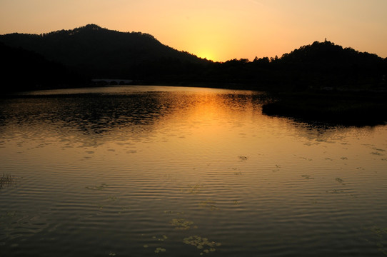 大夫山森林公园 夕阳