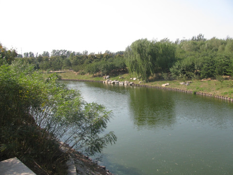 湖水