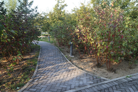 小路