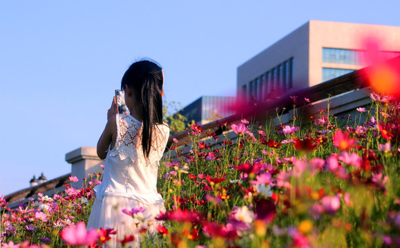 花丛中的小女孩