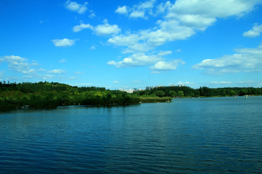 湖边  湿地