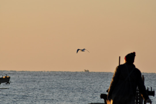 大海