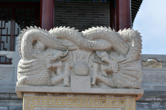 龙