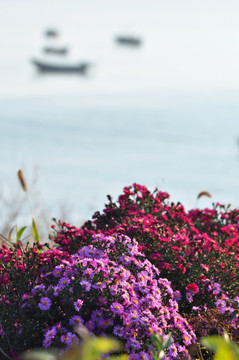 花丛