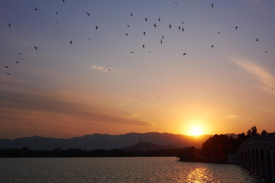 颐和园夜景jpg