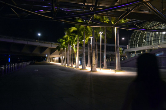 城市夜景 滨海艺术中心