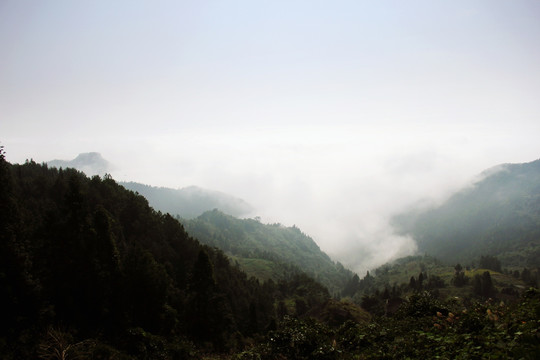 山川 云雾