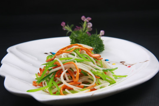养生素菜