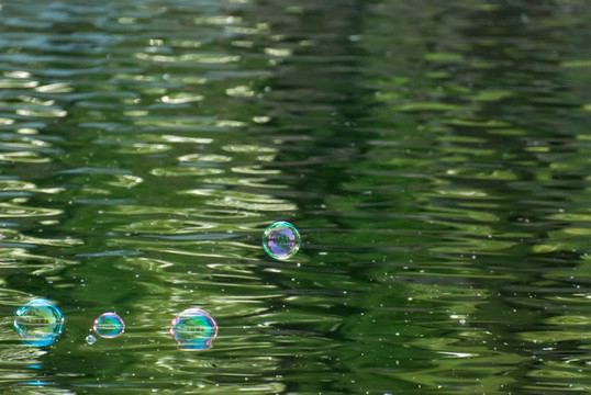 水面上的泡泡
