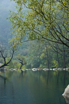 泰山桃花峪风光