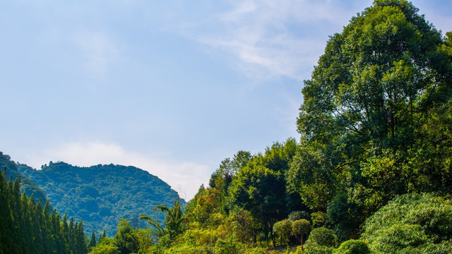 青城美景