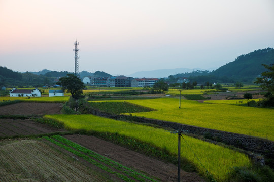 田园