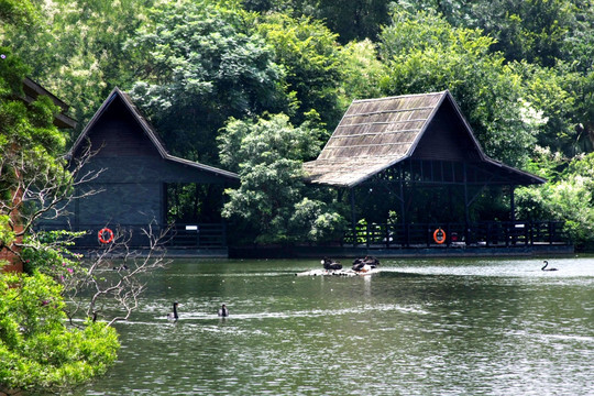 湖边建筑亭子