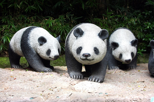 国宝熊猫雕像