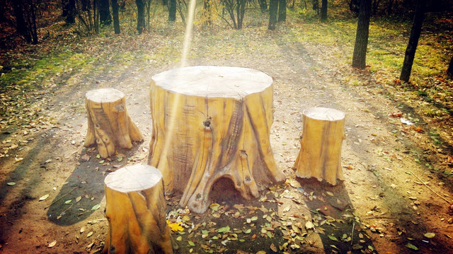 森林小凳子
