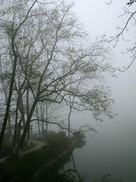 城市雾霾 雾霾中的园林