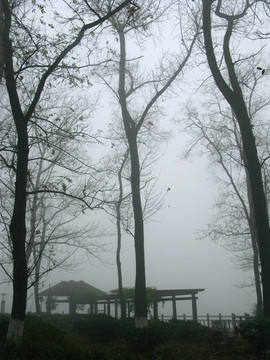 雾霾天气 雾霾中的园林
