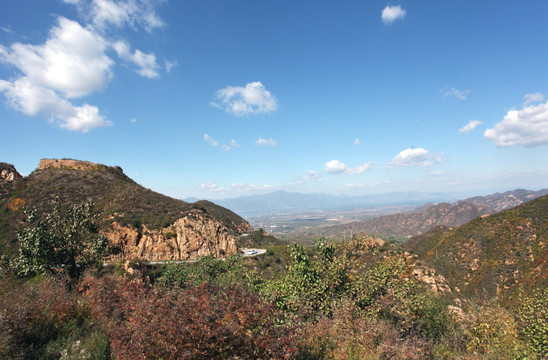 高山田野