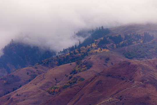 云雾缭绕  秋景 山脉