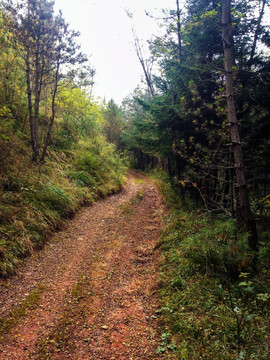 乡村道路 山区交通 砂石路面