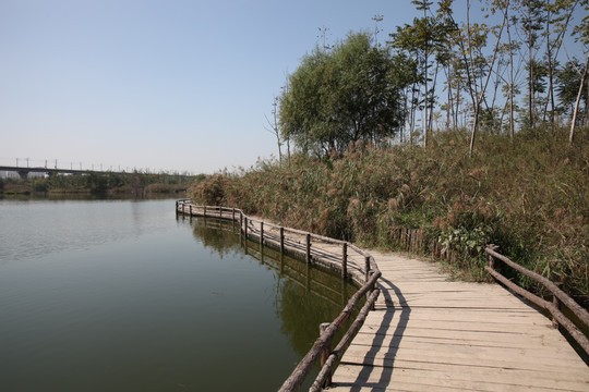 湿地公园