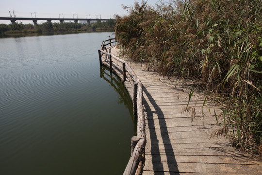 湿地公园