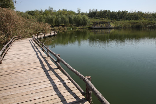 湿地公园