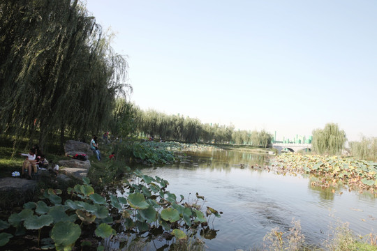 湿地公园