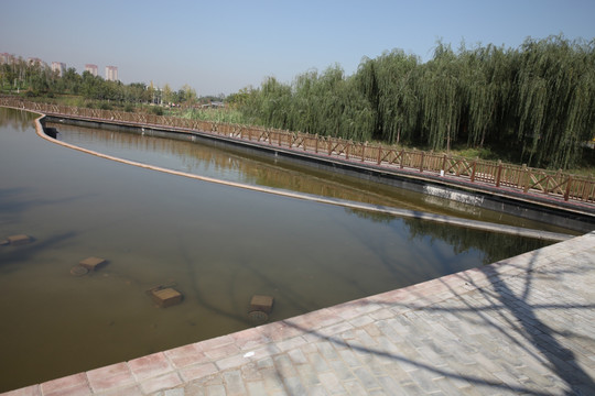 湿地公园