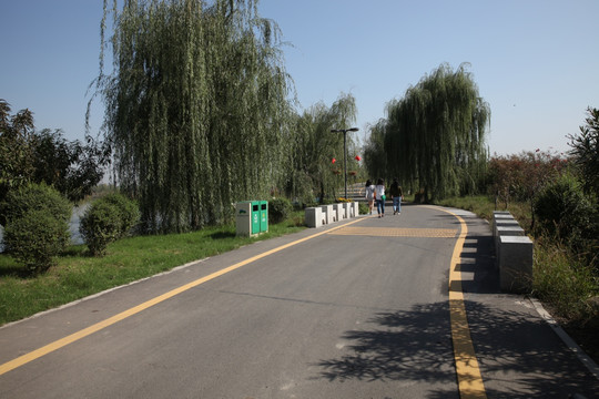 湿地公园