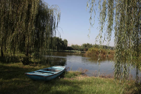 湿地公园